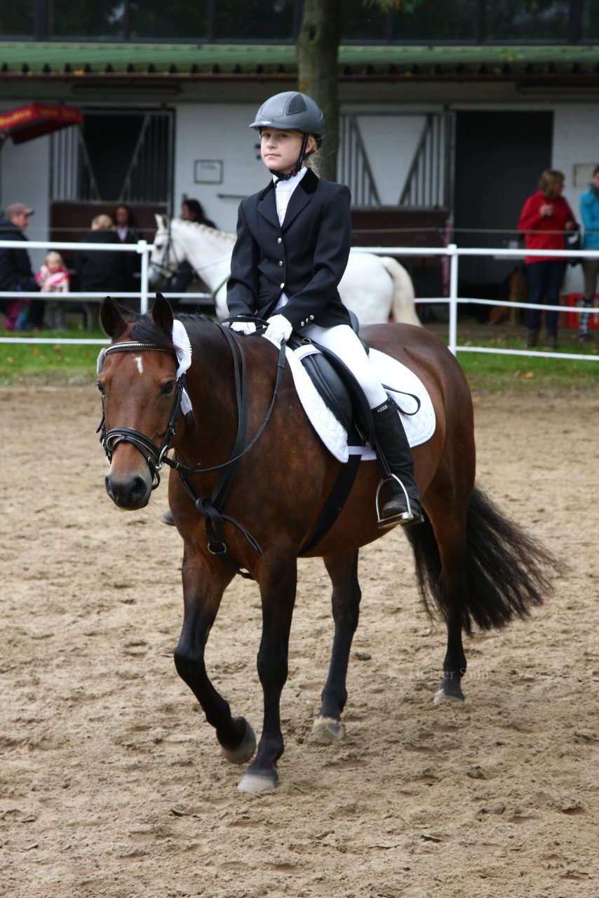 Bild 1189 - WBO-Turnier am 18.9.11
